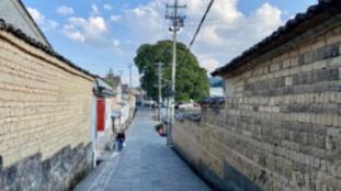 可爱小猫向上跳